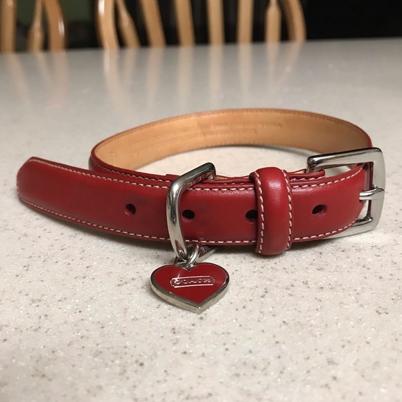 Coach Other - Coach dog collar